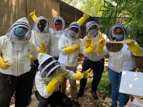 Bee Relocation-1 Bee Relocation-1