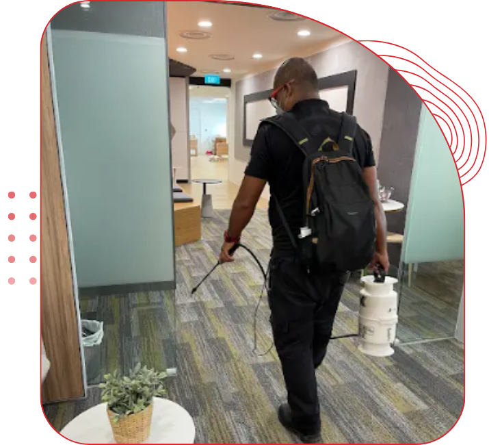 Commercial pest control