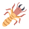 TERMITES
