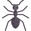 ANTS
