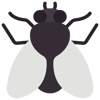 FLIES