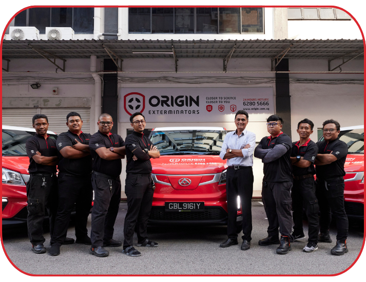 origin staff 1
