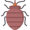 BED BUGS