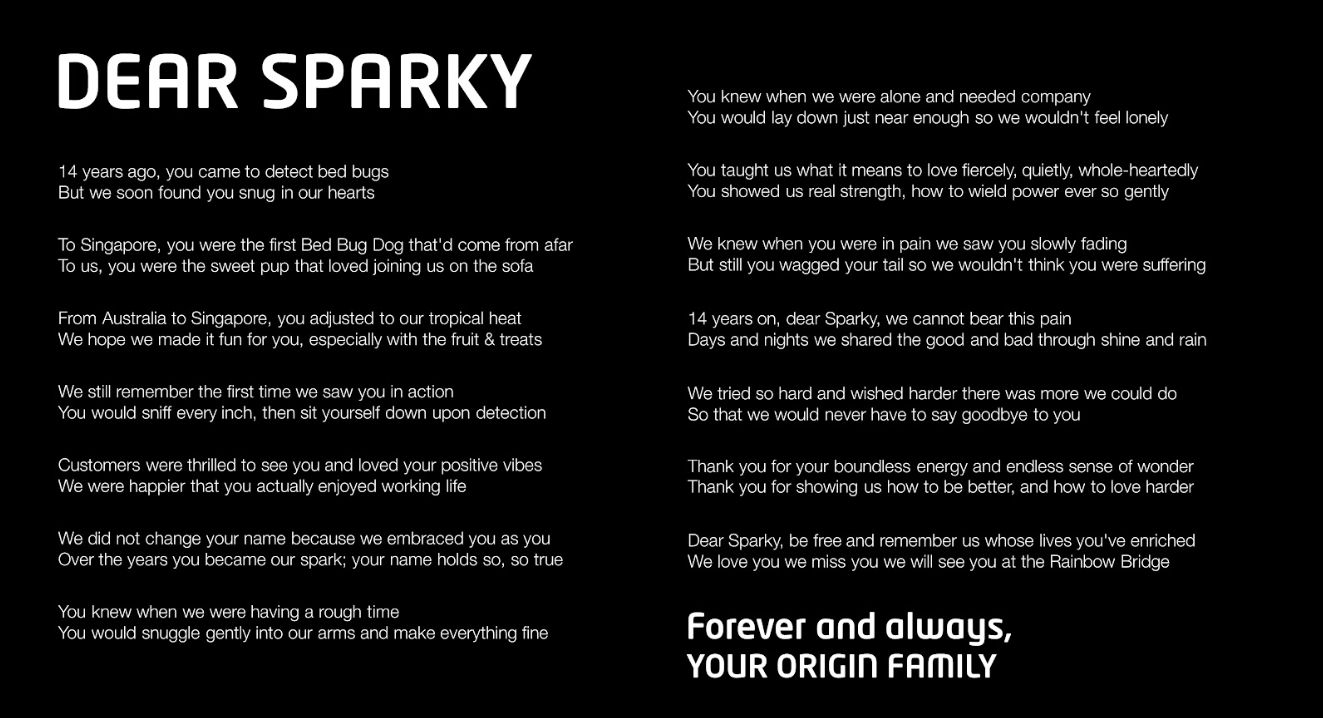 SPARKY