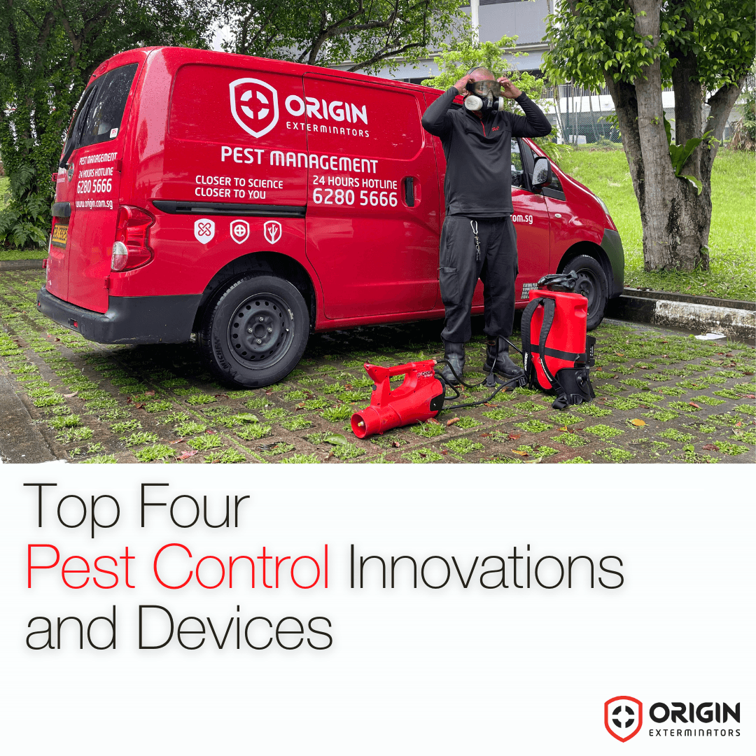What Is Integrated Pest Management (IPM)? Singapore’s Smart Alternative to Chemical Pest Control
