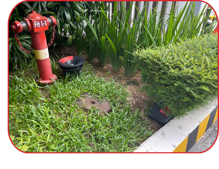 ORItrap mosquito trap installed in landscaped outdoor area