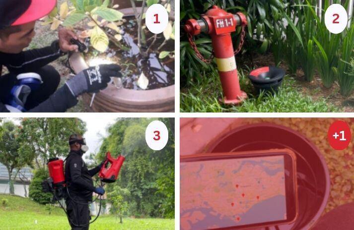 Professional mosquito control process including inspection, fogging, and monitoring system