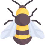 Bee image