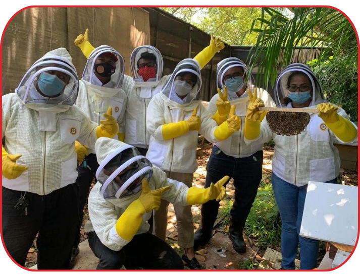 Group of technicians showing how to relocate bees
