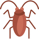 Cockroach image