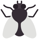 flies image