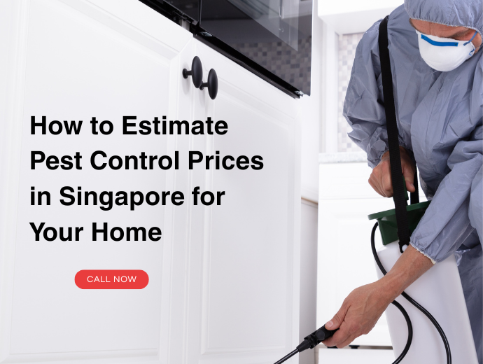How to Estimate Pest Control Prices in Singapore for Your Home