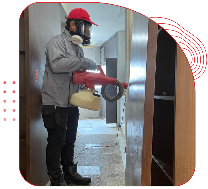 Technician spraying bed bugs pest control treatment on shelfs