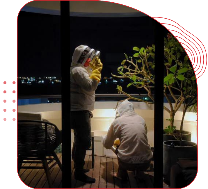 bee farms are preserve of the urban bee population