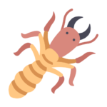 termite