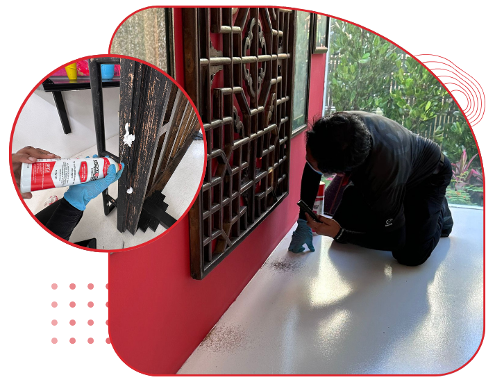 Close-up of technician injecting drywood termite treatment into wooden structure.