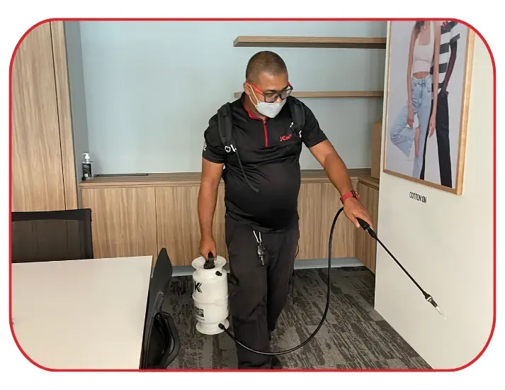 Spraying inside residential property