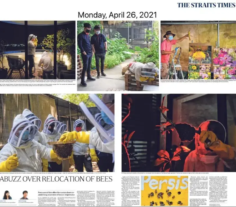 Buzz over bee relocation news on newspaper