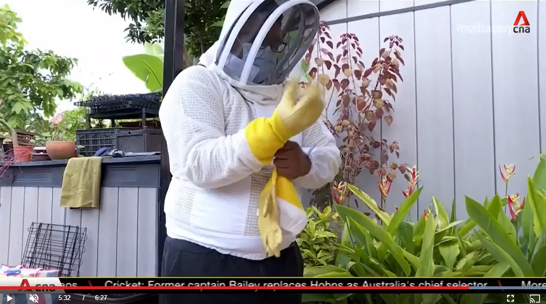 pasted image 0 (3)-3