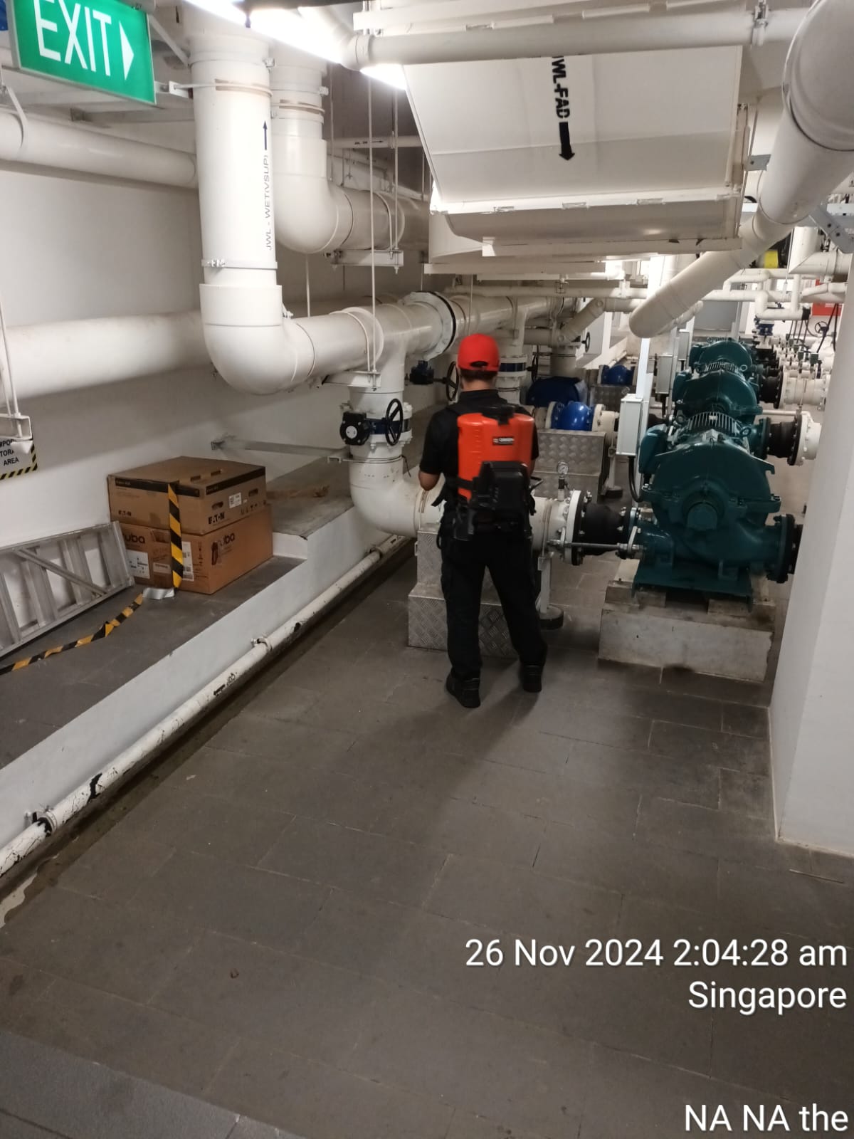 How Much Does Professional Pest Control Cost in Singapore? Pricing, Value & Safety Explained