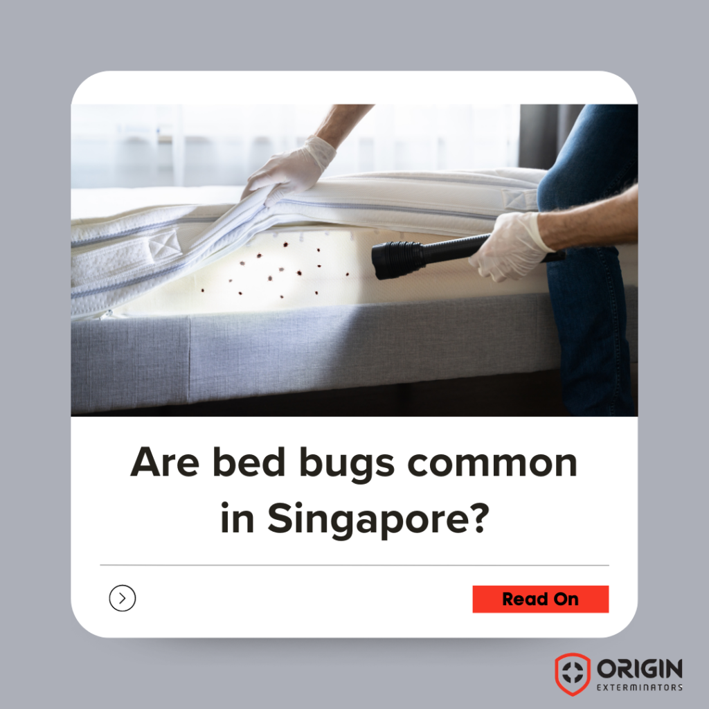 ORIGIN Bed Bug Management Singapore