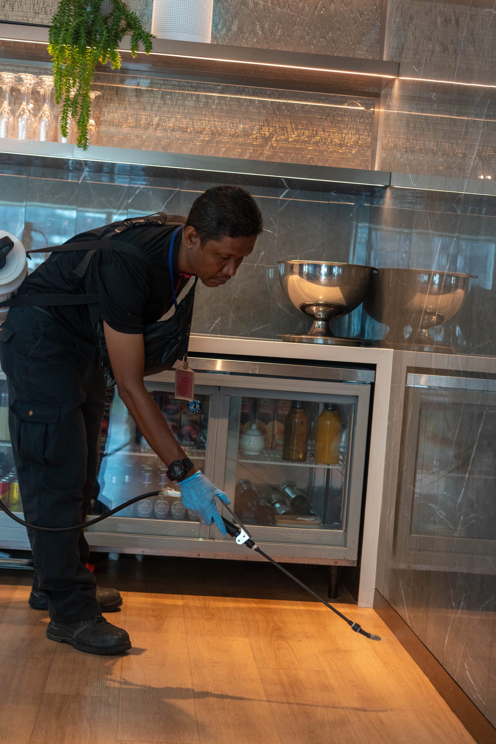 DIY vs Professional Rat Control in Singapore: When Technology-Driven Solutions Are Necessary